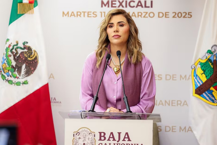 Marina del Pilar confirma autenticidad de audio filtrado