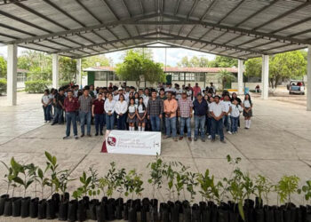 Conmemoran Día Mundial del Medio Ambiente con jornadas de reforestación