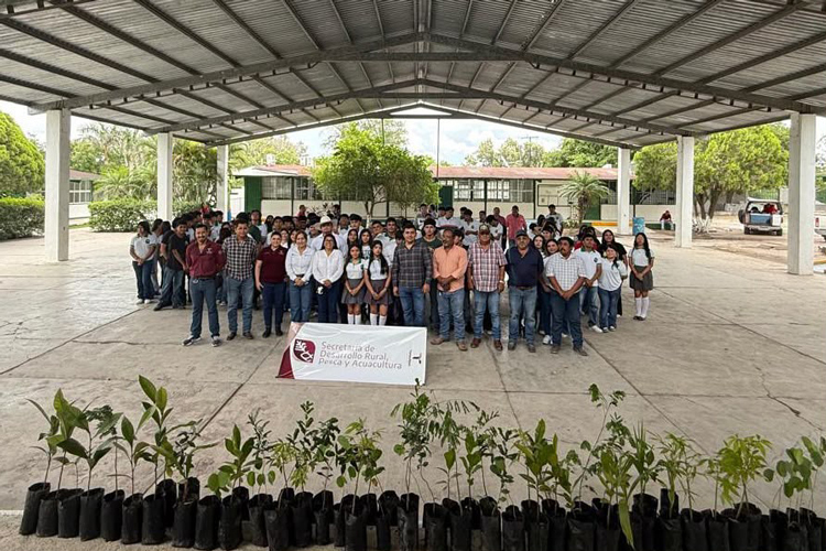 Conmemoran Día Mundial del Medio Ambiente con jornadas de reforestación