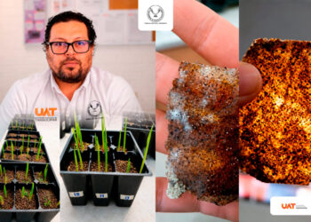 Patenta la UAT bioplásticos que recuperan suelos erosionados
