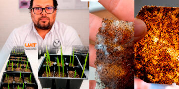 Patenta la UAT bioplásticos que recuperan suelos erosionados