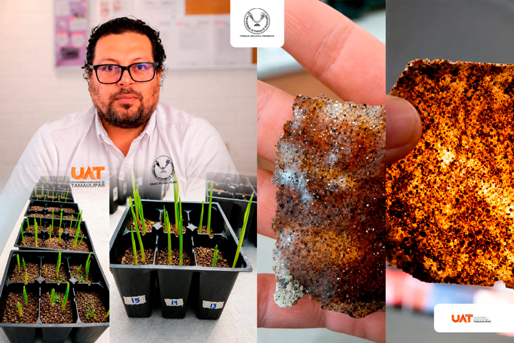 Patenta la UAT bioplásticos que recuperan suelos erosionados