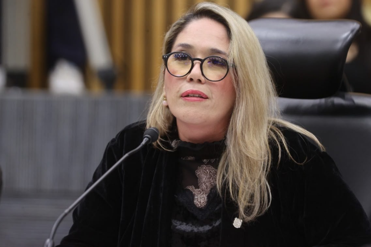 IA blindaría recursos de campañas electorales, asegura Gómez Puga