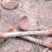 Confirman hallazgo de restos humanos en Miguel Alemán