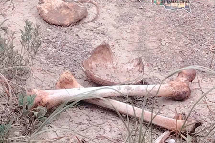 Confirman hallazgo de restos humanos en Miguel Alemán