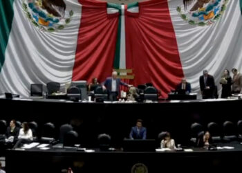Llevan la violencia vicaria en México ante la CIDH