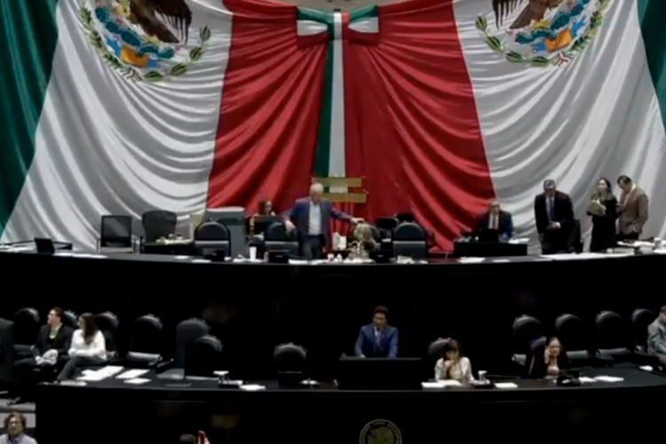 Llevan la violencia vicaria en México ante la CIDH