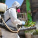 Blindan escuelas contra dengue antes del regreso a clases