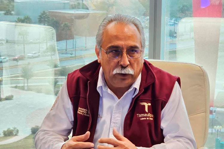 Inversión histórica rescatará carreteras federales de Tamaulipas