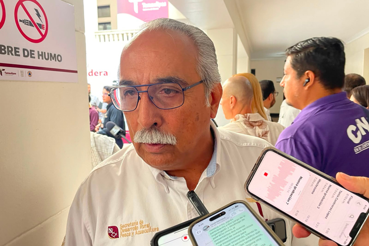 Aceleran 380 obras públicas con inversión histórica estatal