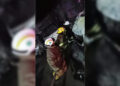 Incendio fue provocado contra flotilla de PepsiCo: Fiscal
