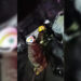 Incendio fue provocado contra flotilla de PepsiCo: Fiscal