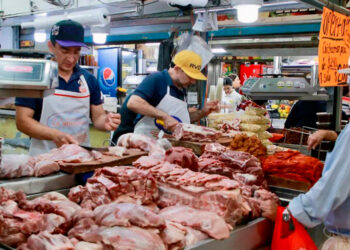Gusano barrenador altera precios en mercado ganadero