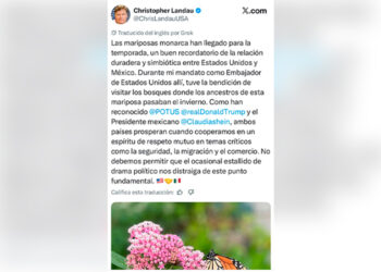 “Al que quieren no es al chico sino al grande”: Hermano de AMLO