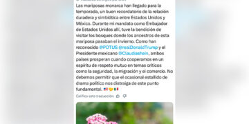 “Al que quieren no es al chico sino al grande”: Hermano de AMLO