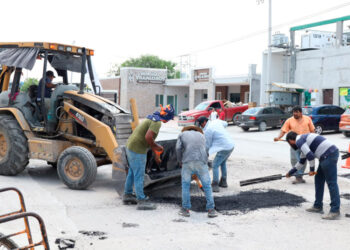 Alianza se definirá hasta diciembre: Verde