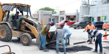 Alianza se definirá hasta diciembre: Verde