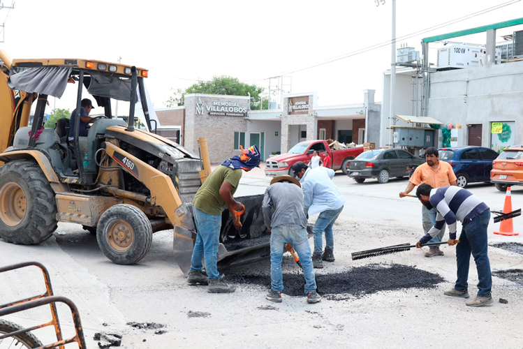 Alianza se definirá hasta diciembre: Verde