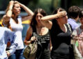 Proyectan erradicar gusano barrenador en dos meses