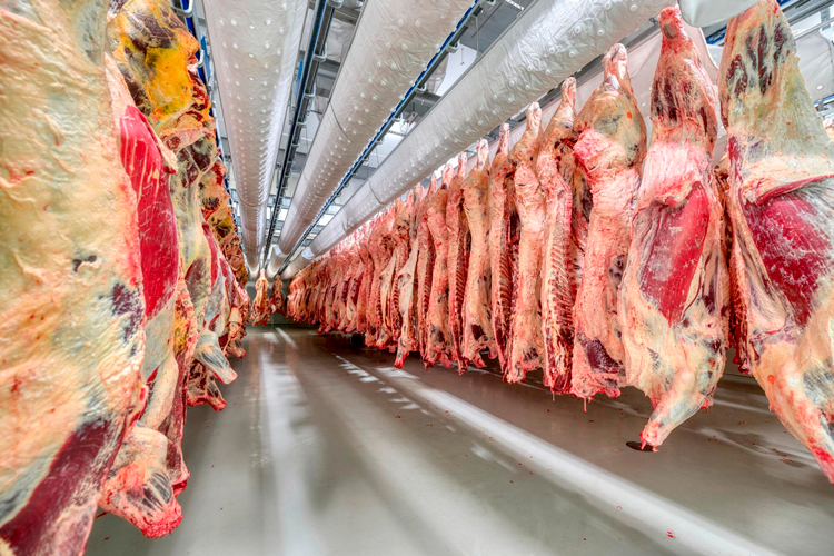 Ganaderos proyectan vender su propia marca de carne