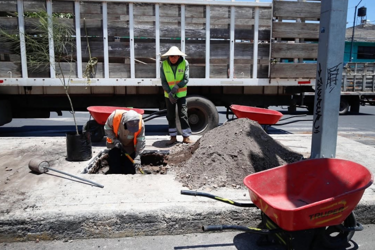 La tasa de desocupación se aceleró en agosto: INEGI