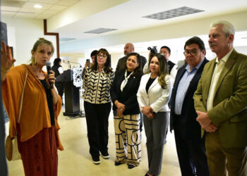 Violencia familiar repunta; denuncias apenas alcanzan treinta