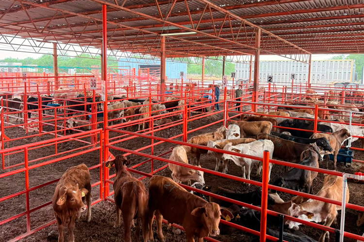 UNTA recorrerá 1,300 ejidos ante crisis agrícola